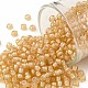 Круглые бусины toho X-SEED-TR08-0923-1