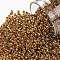 TOHO Round Seed Beads, Japanese Seed Beads, (1825) Inside Color AB Hyacinth/Opaque Purple Lined, 11/0, 2.2mm, Hole: 0.8mm, about 1103pcs/10g