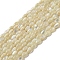 Natural Trochus Shell Beads Strands, Oval, Pale Goldenrod, 4~4.5x2.8mm, Hole: 0.5mm, about 89~90pcs/strand, 15.55~15.94''(39.5~40.5cm)