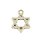 Tibetan Style Alloy Charms, Cadmium Free & Nickel Free & Lead Free, for Jewish, Star of David, Antique Silver, 14.5x10.5x1.5mm, Hole: 1.5mm, about 2150pcs/1000g