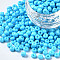6/0 Glass Seed Beads, Baking Paint, Round Hole, Round, Deep Sky Blue, 4~5x3~5mm, Hole: 1.2~1.5mm, about 4500pcs/Pound