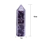 Point Tower Natural Amethyst Home Display Decoration, Healing Stone Wands, for Reiki Chakra Meditation Therapy Decos, Hexagon Prism, 100x30mm