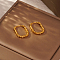 Elegant Stainless Steel Hoop Earrings, Golden, Oval