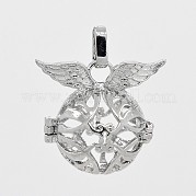 Подвески из латуни с полыми клетками KK-J189-09P