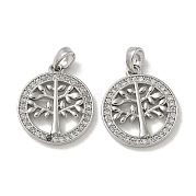Подвески из латуни с микропаве из циркония KK-R210-21P-02
