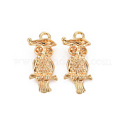 Латунные подвески KK-S356-603-NF