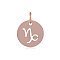 304 Stainless Steel Charms, Flat Round with Constellation/Zodiac Sign, Rose Gold, Capricorn, 12x1mm, Hole: 3mm