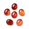 Dyed & Heated Natural Carnelian Cabochons, Oval, 12x10x4.5mm