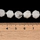 Бусины из натурального радужного лунного камня G-P534-A06-01-5