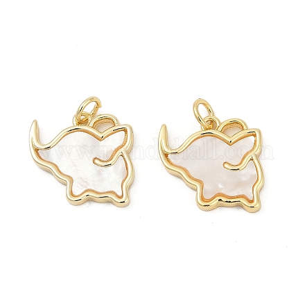 Подвески из латуни с натуральными белыми ракушками KK-U058-21G-1