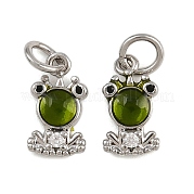 Латунные микро проложить кубического циркония подвески KK-A269-65P