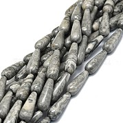 Природные зебры яшмы бисер нитей G-E576-44