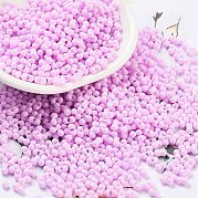 Выпечка краска стеклянные бусины SEED-A033-05N