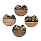Translucent Resin & Waxed Walnut Wood Pendants, with Gold Foil, Gap Flat Round, Black, 34x36.5x3mm, Hole: 2mm