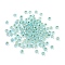 Frosted Silver Lined Glass Seed Beads, Round Hole, Round, Pale Turquoise, 4x3mm, Hole: 0.8mm, 787pcs/bag