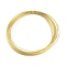 5M Eco-Friendly Brass Wire, Cadmium Free & Nickel Free & Lead Free, with 1Pc Empty Spools, Golden, 0.5mm, 24 Gauge, about 16.40 Feet(5m)/Roll