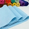 Non-woven Felt Fabric, for Craft DIY Mat Stuffed with Toys, Sky Blue, 92x20x0.14cm