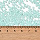 Выпечка краска стеклянные бусины SEED-P006-03A-29-4