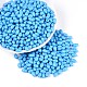 Выпечка краска стеклянные бусины SEED-T007-15N-3