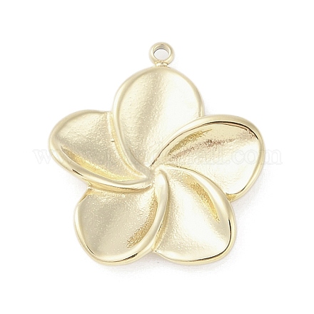 Подвески из нержавеющей стали 304 STAS-L022-420G-1