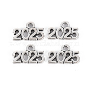 Подвески из сплава в тибетском стиле TIBE-S323-110AS-RS