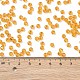 6/0 стакан бисер SEED-T006-04C-04-4