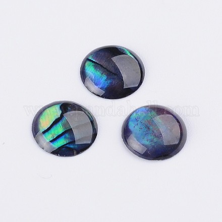 Кабошоны из раковин морского морского ушка / пауа X-SSHEL-K003-8MM-1