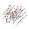 Iron Flat Head Pins, Cadmium Free & Nickel Free & Lead Free, Red Copper, 50x0.75~0.8mm, 20 Gauge, about 2100pcs/500g, Head: 2mm