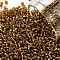 TOHO Round Seed Beads, Japanese Seed Beads, (22C) Silver Lined Topaz, 11/0, 2.2mm, Hole: 0.8mm, about 5555pcs/50g