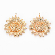 Латунные подвески KK-S356-518-NF