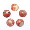 Natural Red Banded Agate Cabochons, Dyed & Heated, Half Round, 10x4~5mm