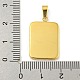 Ионное покрытие (ip) подвески из нержавеющей стали 304 STAS-F307-33G-3