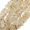 Natural Gold Rutilated Quartz Beads Strands, Chip, 5~8mm, Hole: 1mm, about 32 inch(81.5cm)