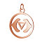 304 Stainless Steel Pendants, Chakra, Ajna, Flat Round, Rose Gold, 22.5x19x1mm, Hole: 3mm