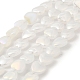 Стеклянные бусины GLAA-G104-05C-1