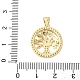 Латунные микро проложить кубического циркония подвески KK-D357-02C-G-3