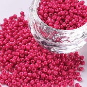 Выпечка краска стеклянные бусины SEED-S001-K5