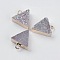 Natural Druzy Agate Charms, Rainbow Plated, with Golden Plated Brass Findings, Triangle, Thistle, 13.5x11.5x4~5mm, Hole: 1.5mm