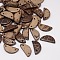Dyed Wood Jewelry Findings Coconut Links, Half Flat Round, Coconut Brown, 25~25x11~13x2mm, Hole: 2mm