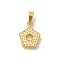 Ion Plating(IP) 304 Stainless Steel Micro Pave Cubic Zirconia Pendants, Pentagon, 11x9.5x1.5mm, Hole: 4x2.5mm