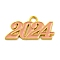 Alloy Enamel Pendants, Lead Free and Cadmium Free, Number 2024 Charm, Golden, Dark Salmon, 18.5x36.5x1.5mm, Hole: 4mm