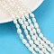 Natural Cultured Freshwater Pearl Beads Strands, Two Sides Polished, Grade 6A, Dark Salmon, 5~6mm, Hole: 0.6mm, about 45~46pcs/strand, 13.23~13.50''(33.6~34.3cm)