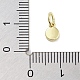 Подвески из латуни с покрытием из эмали KK-M293-38G-01-3
