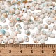 Выпечка краска стеклянные бусины SEED-F006-01A-12-4