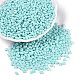 Выпечка краска стеклянные бусины SEED-T006-03G-3