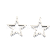 Подвески из нержавеющей стали 201 STAS-N098-096P