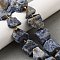 Raw Rough Natural Blue Spot Jasper Beads Strands, Nuggets, with Seed Beads, 14~28x15~25x10~27mm, Hole: 1.2~1.4mm, about 9~10pcs/strand, 7.76''~8.07''(19.7~20.5cm)