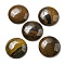 Natural Tiger Iron Cabochons, Flat Round, 30x7~8.5mm