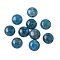 Natural Apatite Cabochons, Half Round/Dome, 11.5~12x4.5~5.5mm