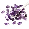 Natural Amethyst Chip Beads, No Hole/Undrilled, 7~36x6~10x1~7mm, about 1582pcs/1000g